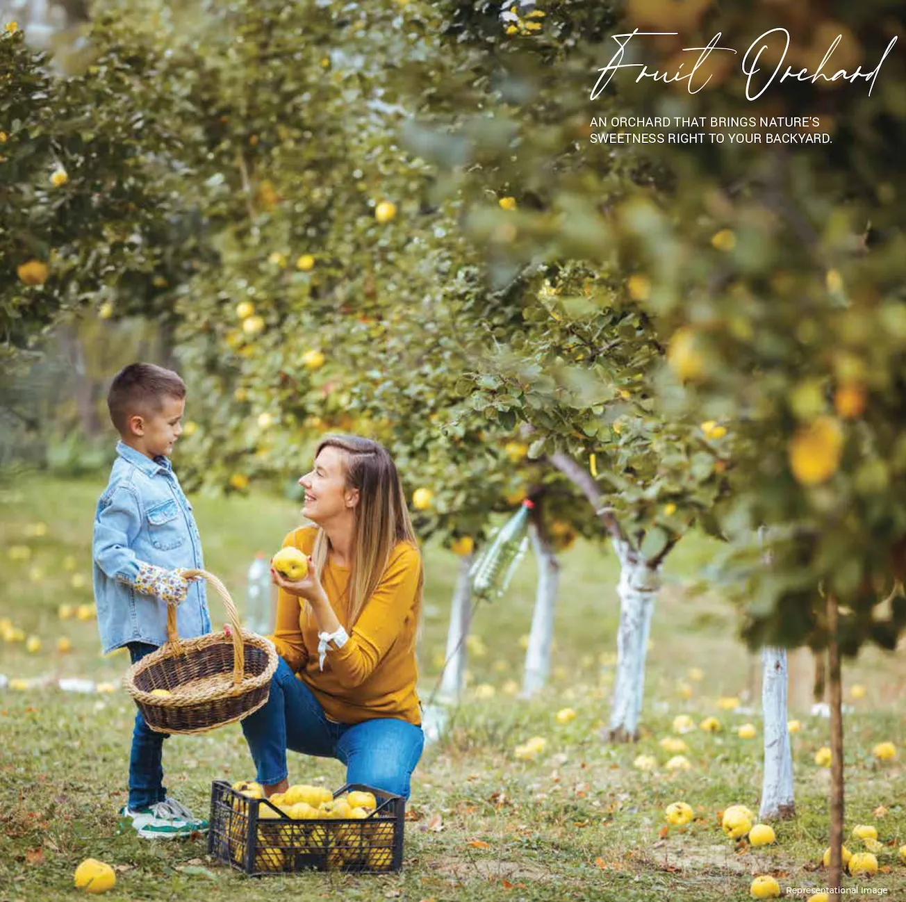 Fruit Orchard Amenity at Raheja Lunaris